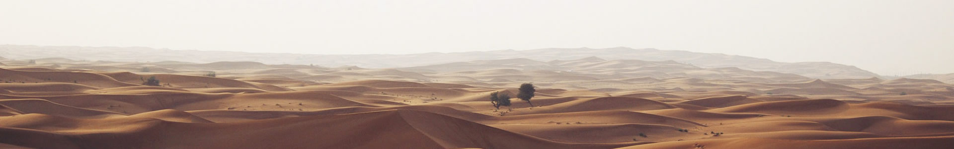 ۿƼ޹˾